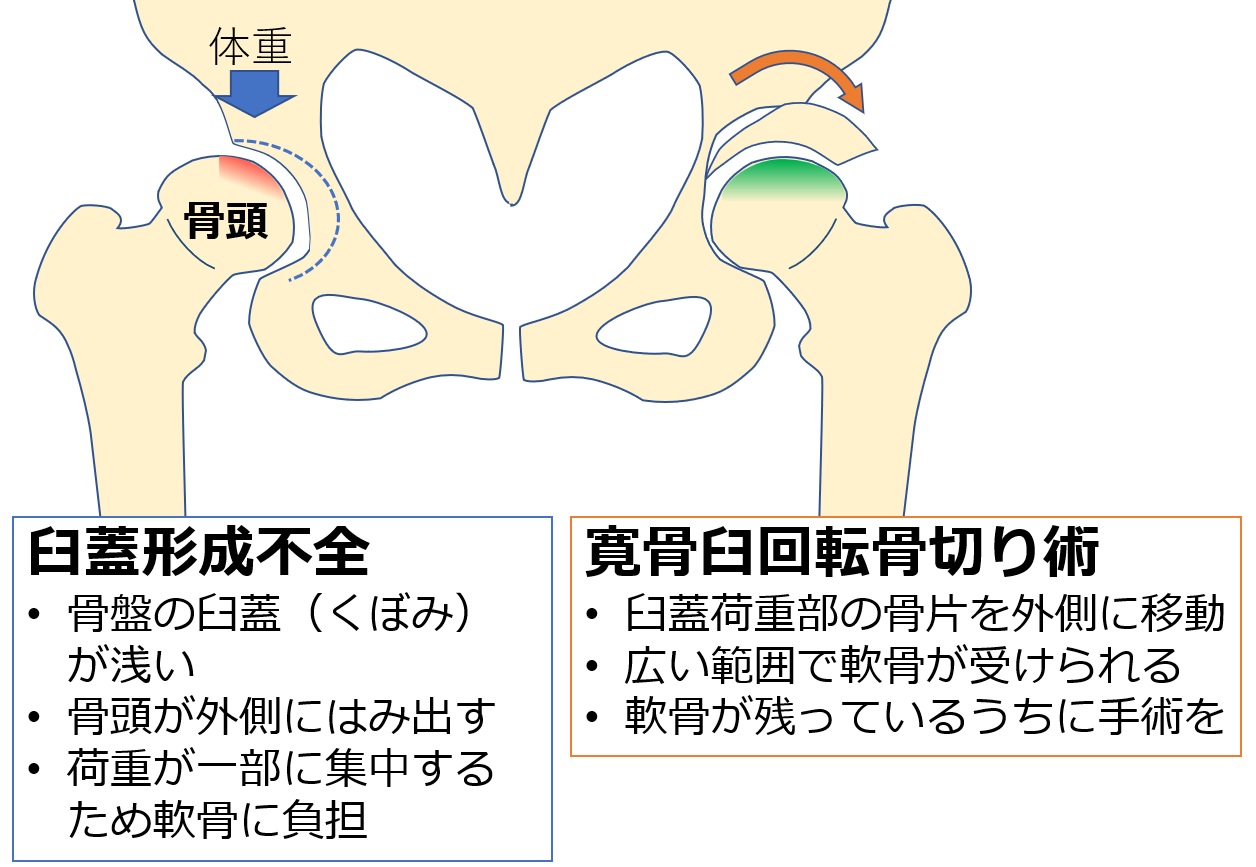 図２